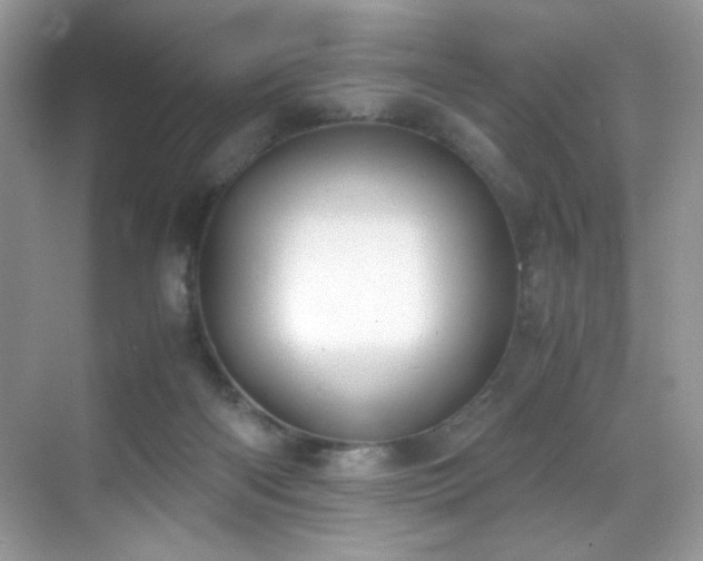 X0000069410122200605121251