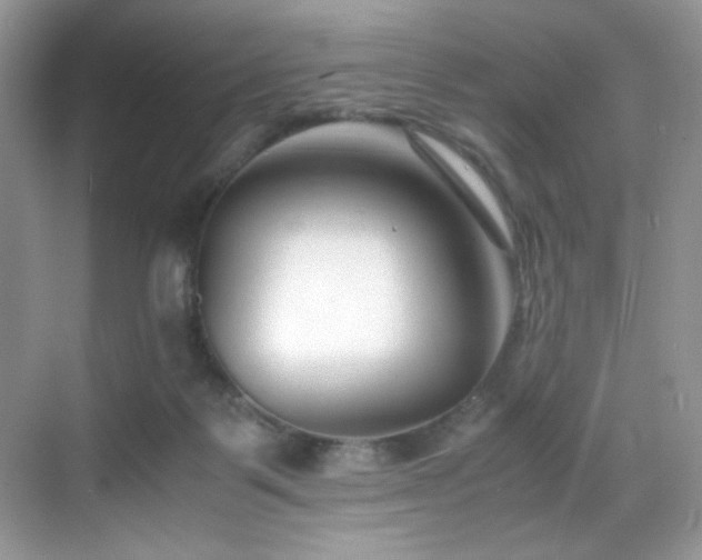 X0000069410123200605121251