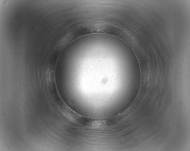 X0000069410126200605121251