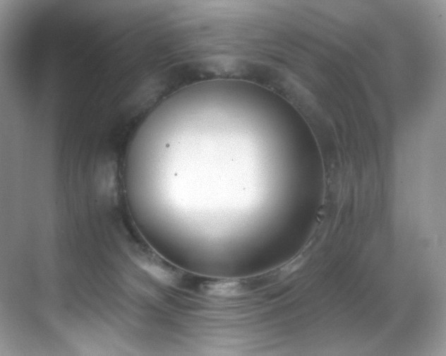 X0000069410132200605121251