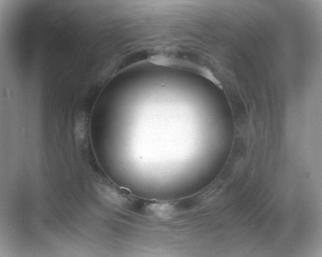 X0000069410133200605121251