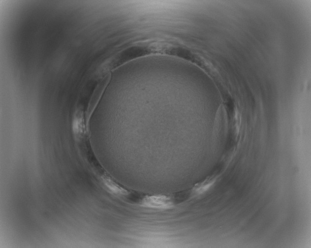 X0000069410137200605121251