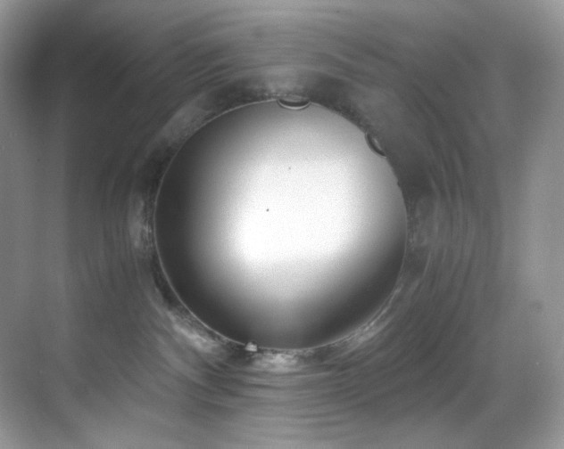 X0000069410140200605121251