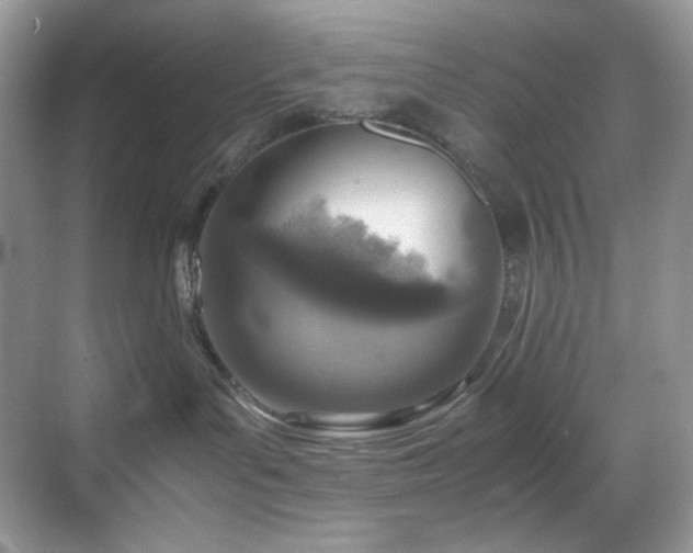 X0000069410143200605121251