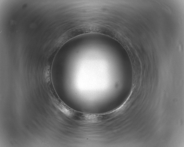 X0000069410144200605121251