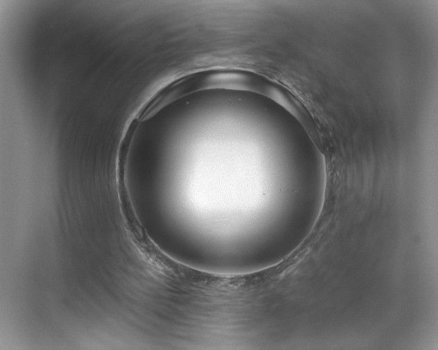 X0000069410148200605121250