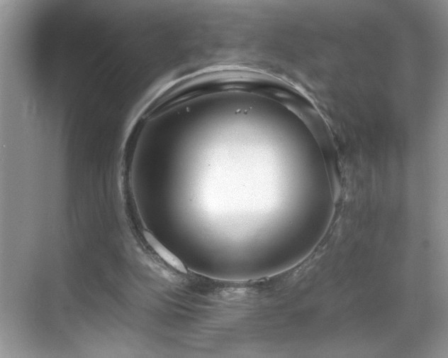X0000069410152200605121250