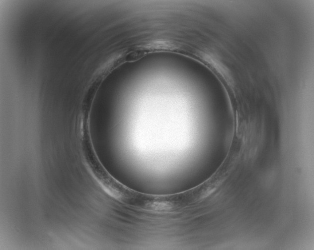 X0000069410157200605121250