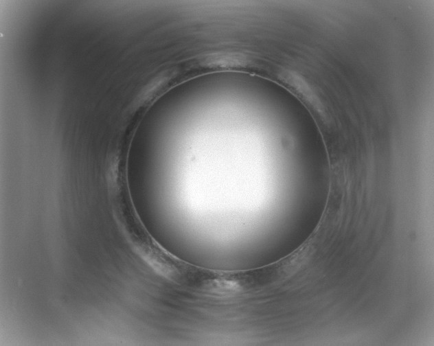 X0000069410159200605121250