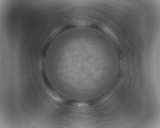 X0000069410165200605121250