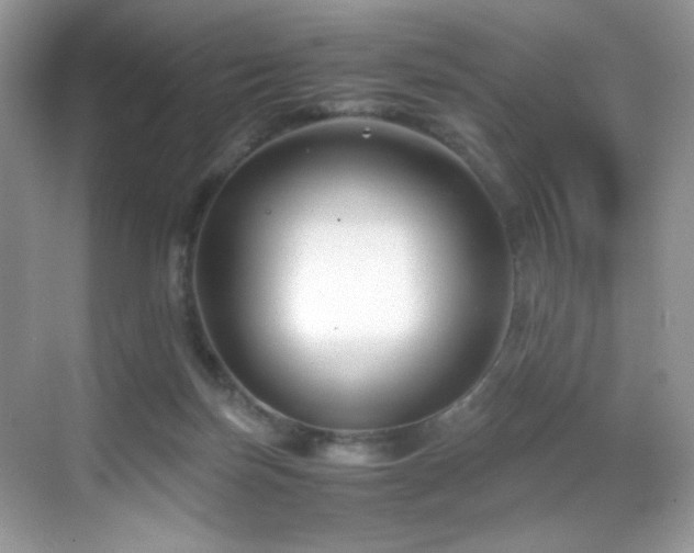 X0000069410171200605121250
