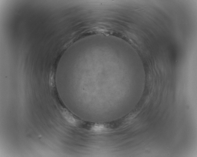 X0000069410177200605121250