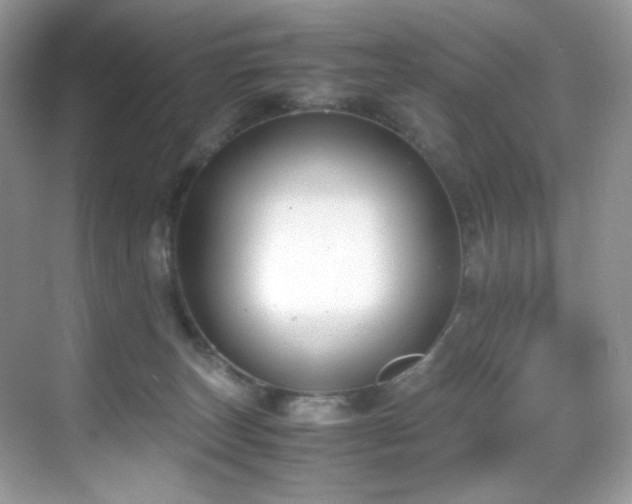 X0000069410179200605121250