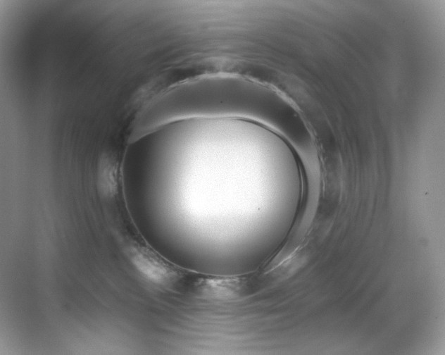 X0000069410188200605121251