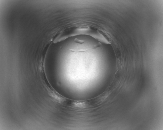 X0000069410189200605121251