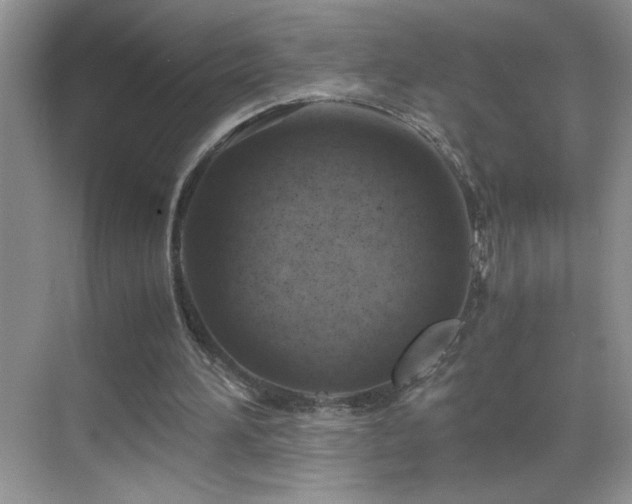 X0000069410196200605121250