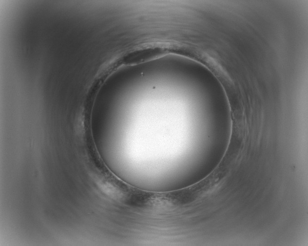 X0000069410207200605121250