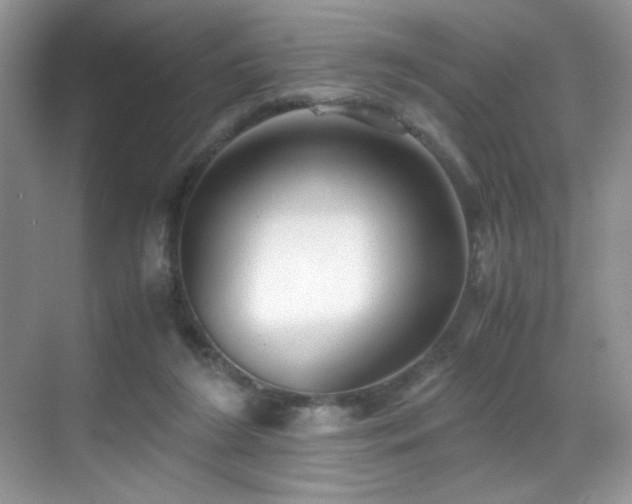 X0000069410212200605121249