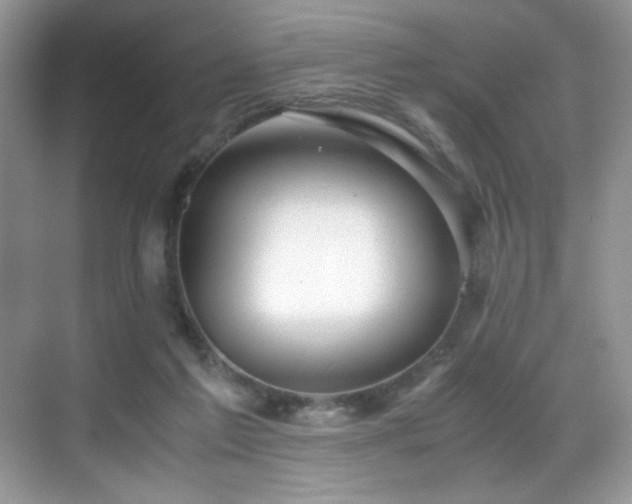 X0000069410213200605121249