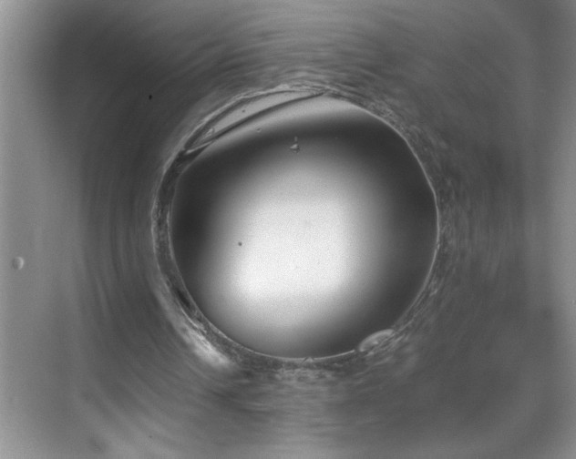 X0000069410242200605121248