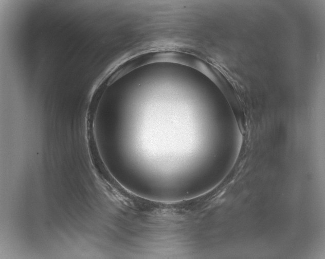 X0000069410244200605121248