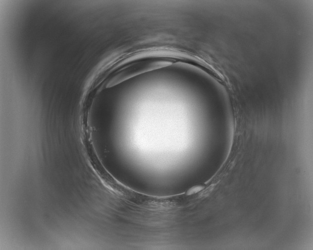 X0000069410245200605121248