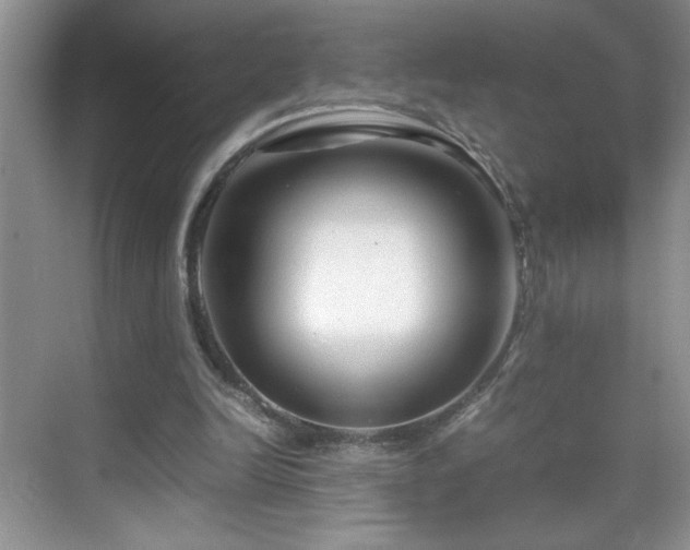 X0000069410246200605121248