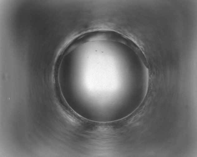 X0000069410248200605121248