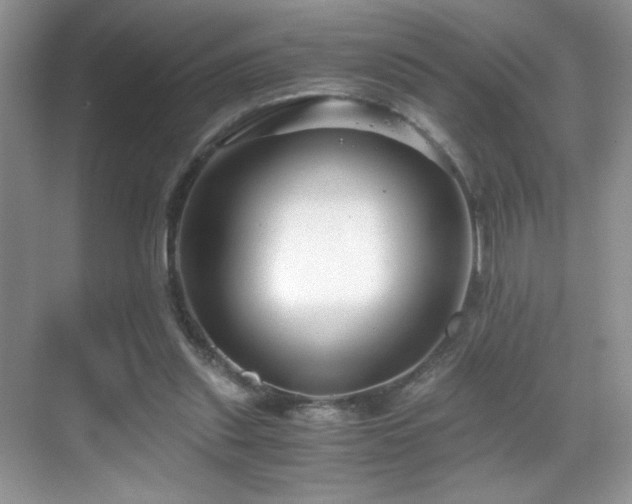 X0000069410253200605121248