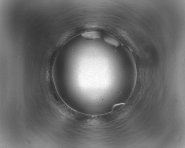 X0000069410259200605121248