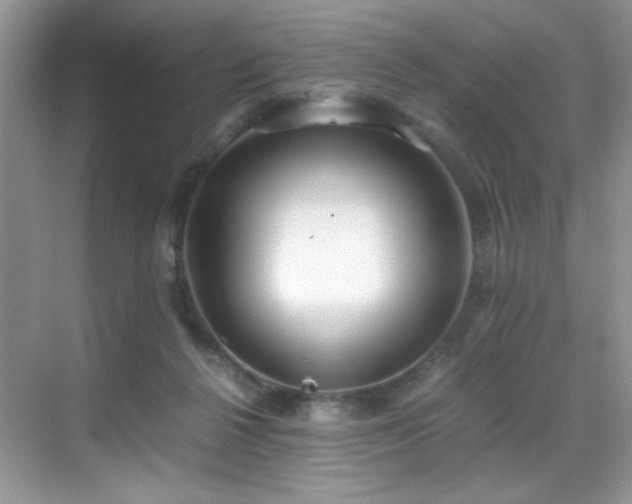 X0000069410264200605121249