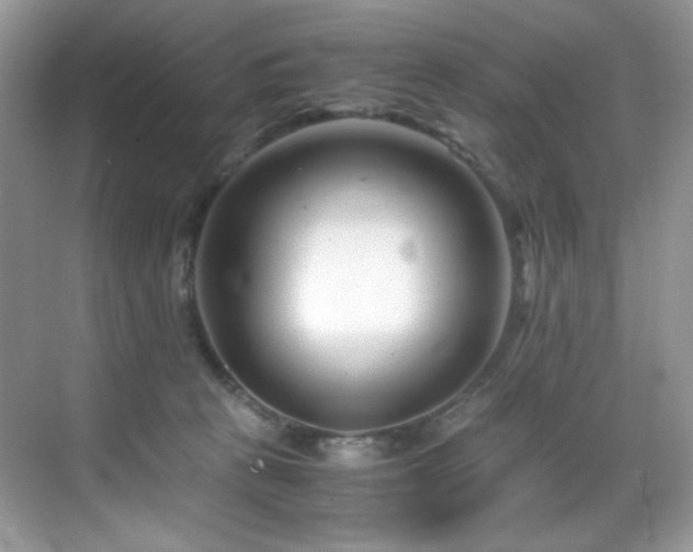 X0000069410273200605121249
