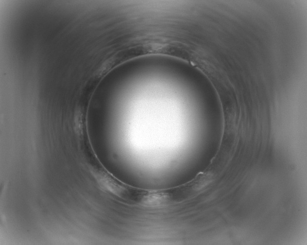 X0000069410274200605121249