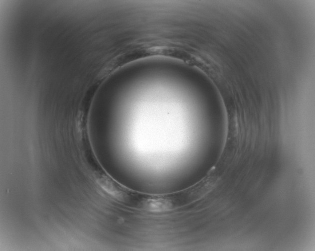 X0000069410275200605121249