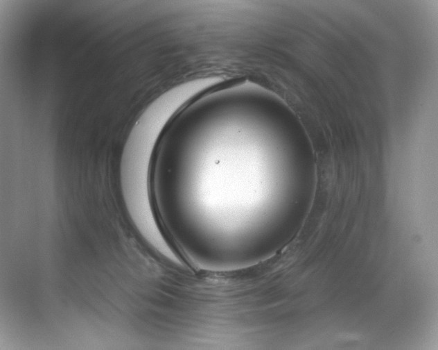X0000069410276200605121249