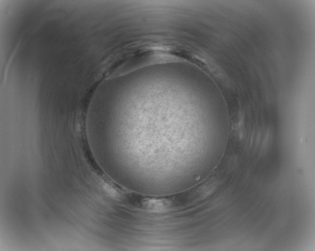 X0000069410277200605121249