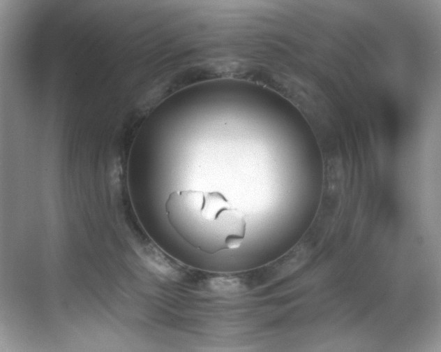 X0000069410279200605121249