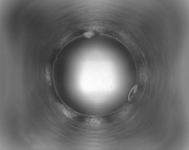 X0000069410282200605121249