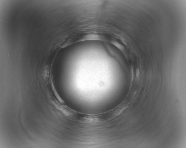 X0000069410284200605121249