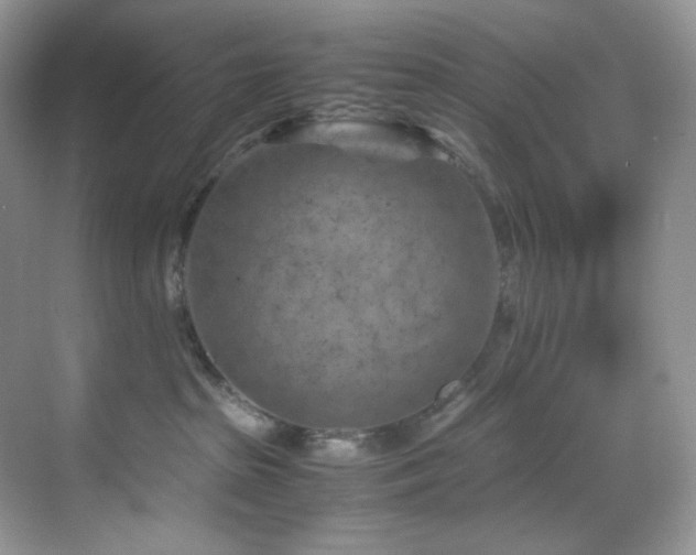 X0000069410285200605121249