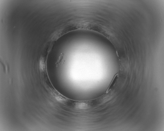 X0000069410287200605121249