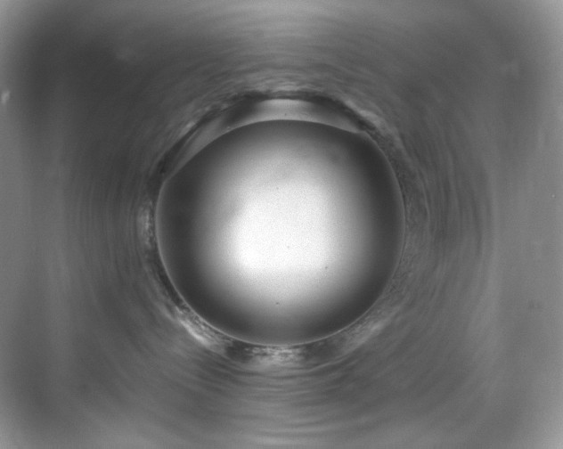 X0000069410288200605121249