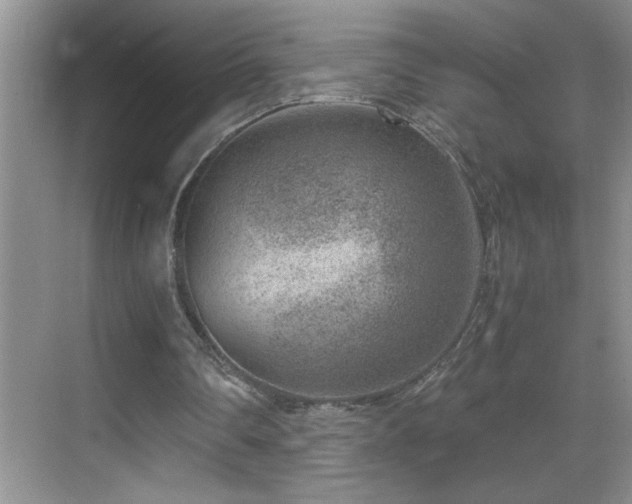 X0000069410290200605121248
