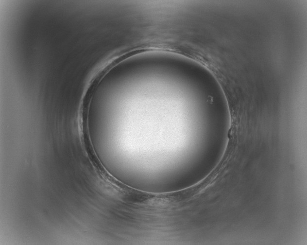 X0000069410294200605121248