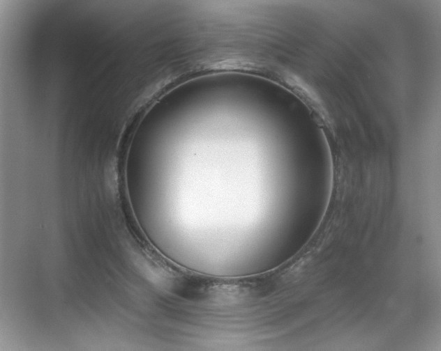 X0000069410298200605121248