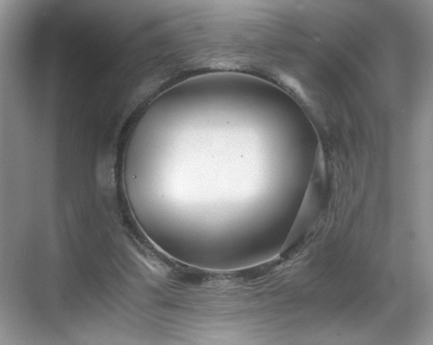 X0000069410299200605121248
