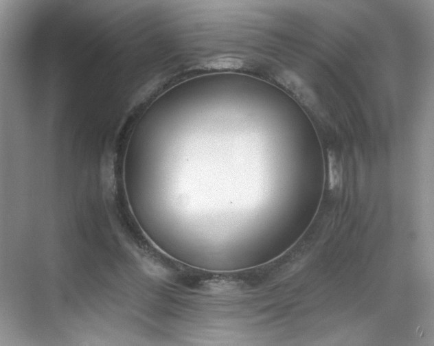 X0000069410300200605121248