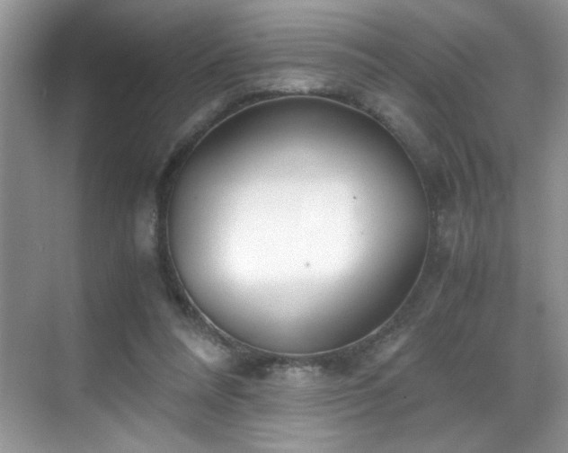 X0000069410304200605121248