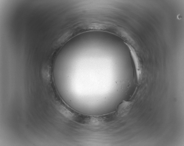 X0000069410305200605121248