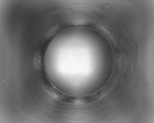 X0000069410308200605121248